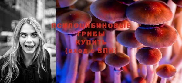 мяу мяу мука Алзамай