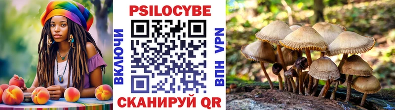 Галлюциногенные грибы Cubensis  Кукмор 